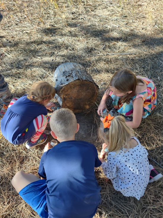 Three little girls and a little boy, crouched down looking at bugs in the grass.