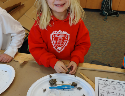 A little blonde girl in a red sweatshirt sitting at a table. On the table is a paper plate with an owl pellet, tweezers and a wooden pokey stick. Next to the plate is a chart of the kinds of bones found in an owl pellet.