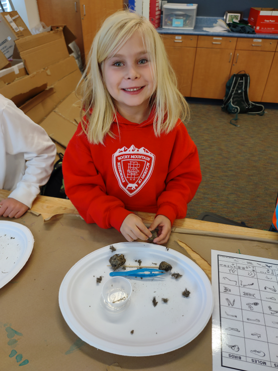A little blonde girl in a red sweatshirt sitting at a table. On the table is a paper plate with an owl pellet, tweezers and a wooden pokey stick. Next to the plate is a chart of the kinds of bones found in an owl pellet.