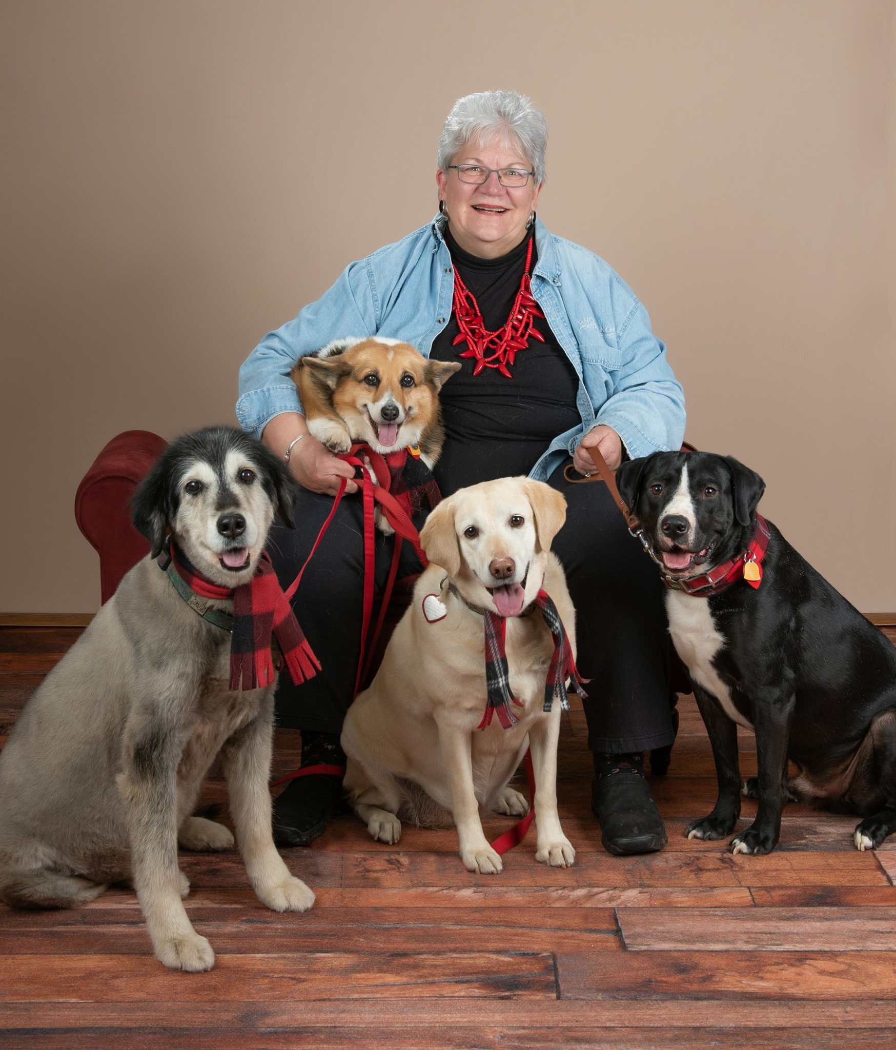 A smiling, grey haired woman wearing a black turtleneck, a red chili pepper necklace and a blue over shirt, posing with 3 dogs sitting at her feet, and one in her lap.
