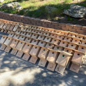 20+ cedar bird houses stack against a brick wall