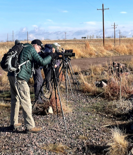people standing in grassland looking into scopes
