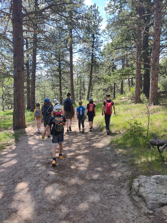The backs of a group of children and an adult walking down a path through the forest, away from the camera.