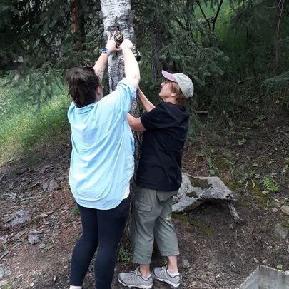two women installing a bird feeder onto a tree