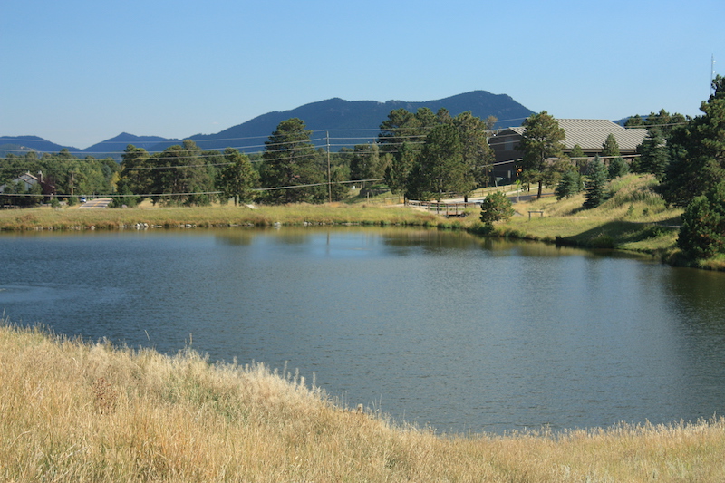 telephone poles and wires in the near background. Mountains and blue sky in the far background.