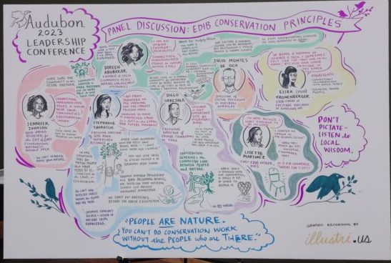 A colorful illustration from National Audubon Society's equity, diversity, inclusion and belong panel discussion showing key conservation concepts. Most notable is the statement "People are nature. You can't do conservation work without the people who are there." Lots of quotes and drawings of