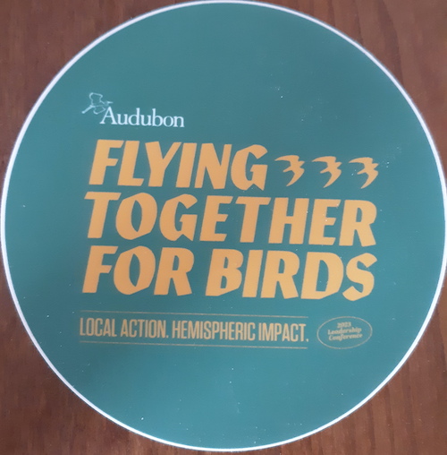 round blue and gold logo with the word Audubon: Flying Together for Birds: Local Action Hemisherice Impact. there are also the silhouette of three flying birds.