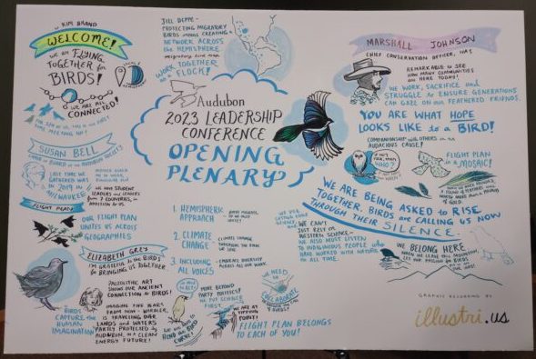 A colorful illustration of the various topics and speakers covered in the opening plenary session of National Audubon's 2023 Leadership conference.