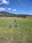 children hiking in meadow