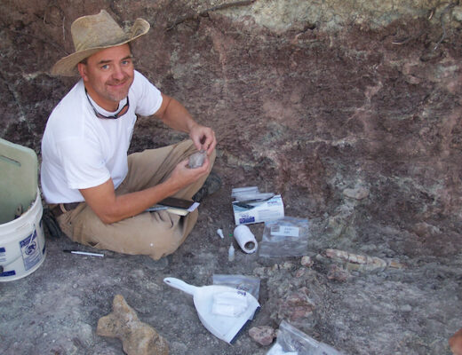 An adult male paeleontologist working in the field excavating fossils