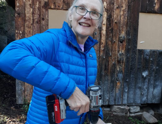 person holding drill over a birdbox