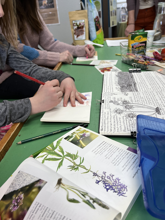 wildflower books open on a table with journals and people at table