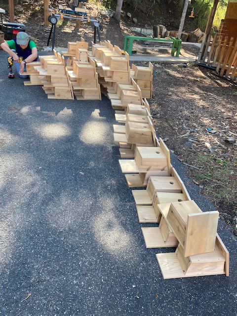 A row of just built bird nest boxes sitting on the ground, with one of the builders at the back left corner