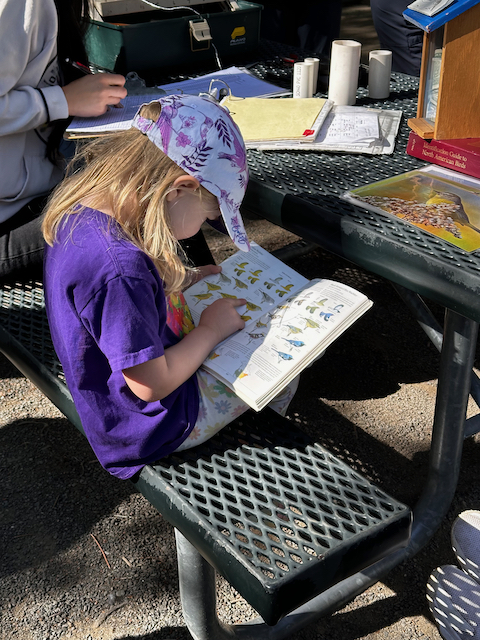 Young girl at a table looking at a bird field guide