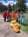 6 people with orange safety vests on standing on the dirt next to a grassy field with full orange garbage bags in front of them