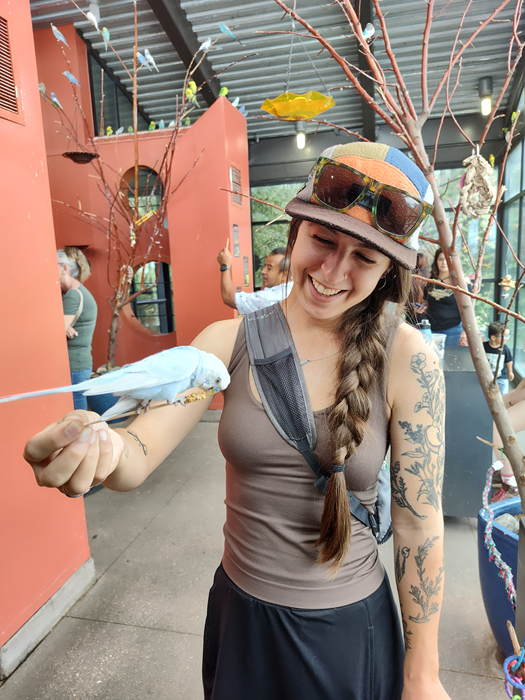 A person holding a stick with a bird on it eating the seeds stuck on the end of the stick.