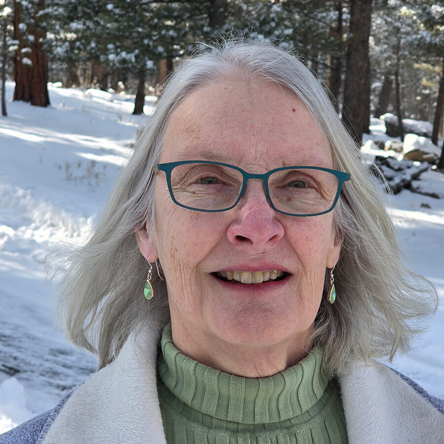 person with gray hair and glasses, green earrings and turtleneck, and jacket with snowy ground in the background