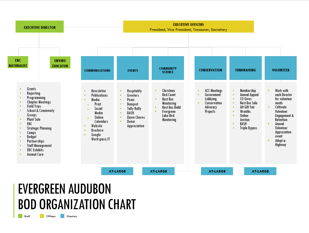 organizational chart in color