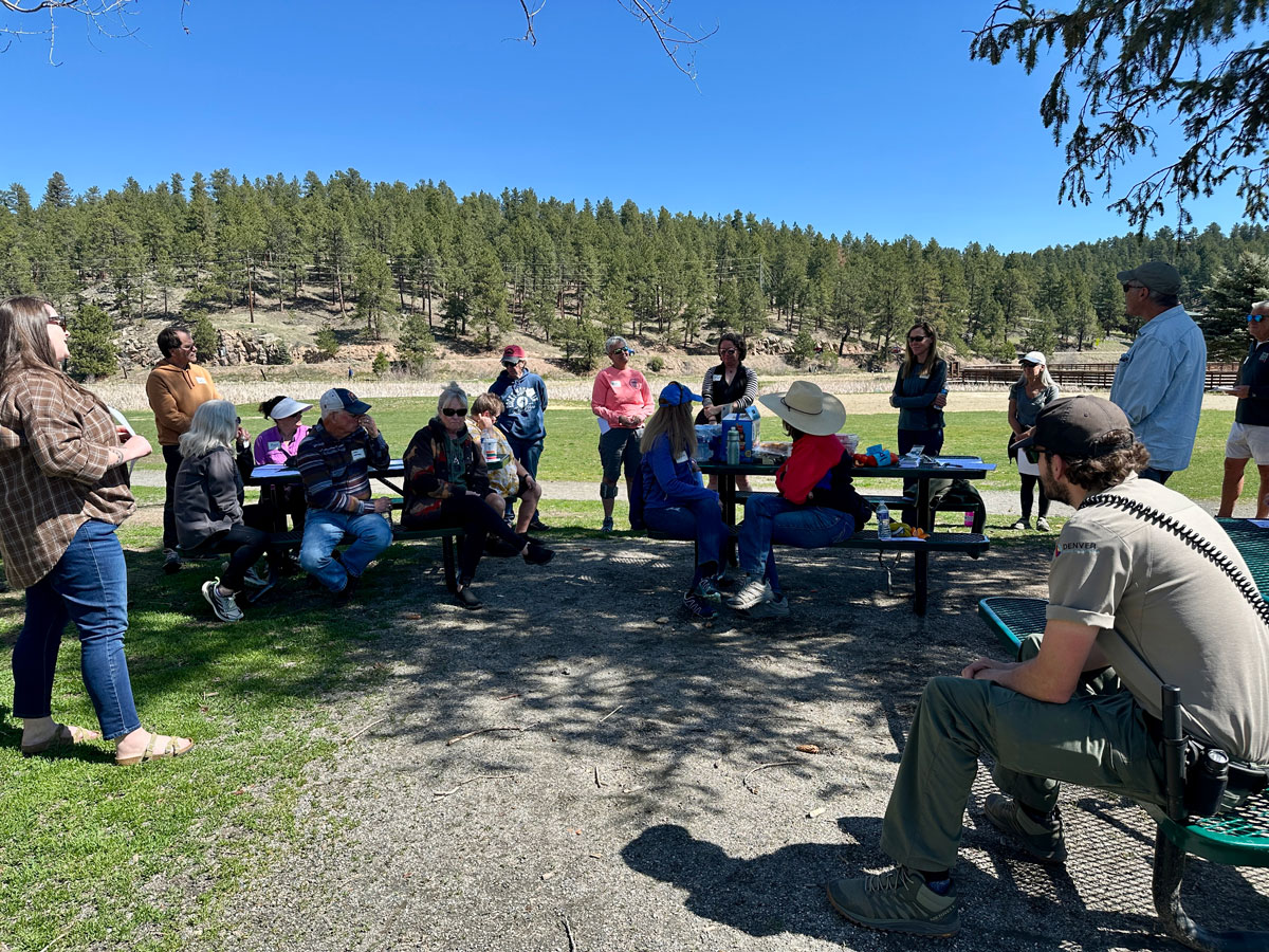a bunch of people sitting around picnic tables in a meadow