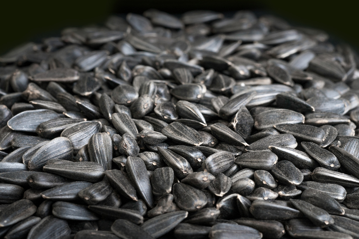 sunflower seeds up close
