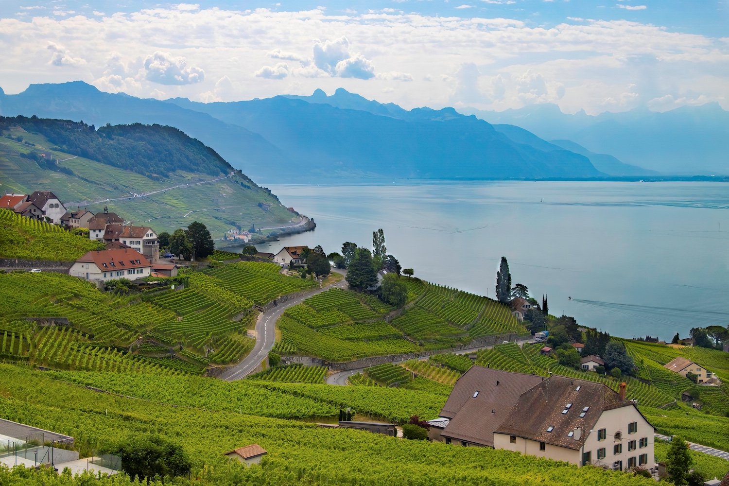 Fields of green crops, interspersed with cream cottages with brown roofs on a mountain hillside framed by the ocean on one side and blue mountains in the background.