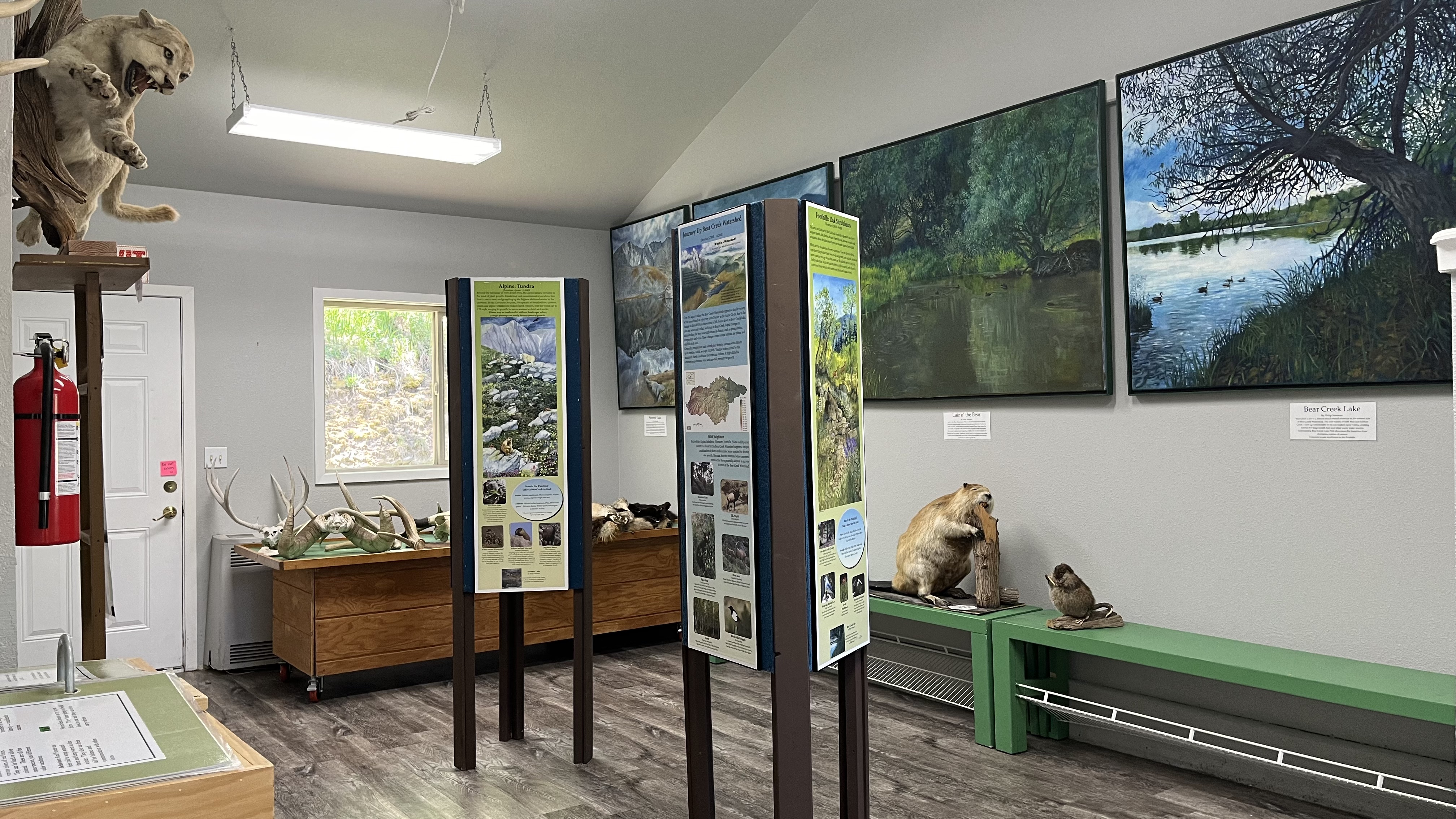 large room in the nature center
