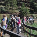 birders on board walk