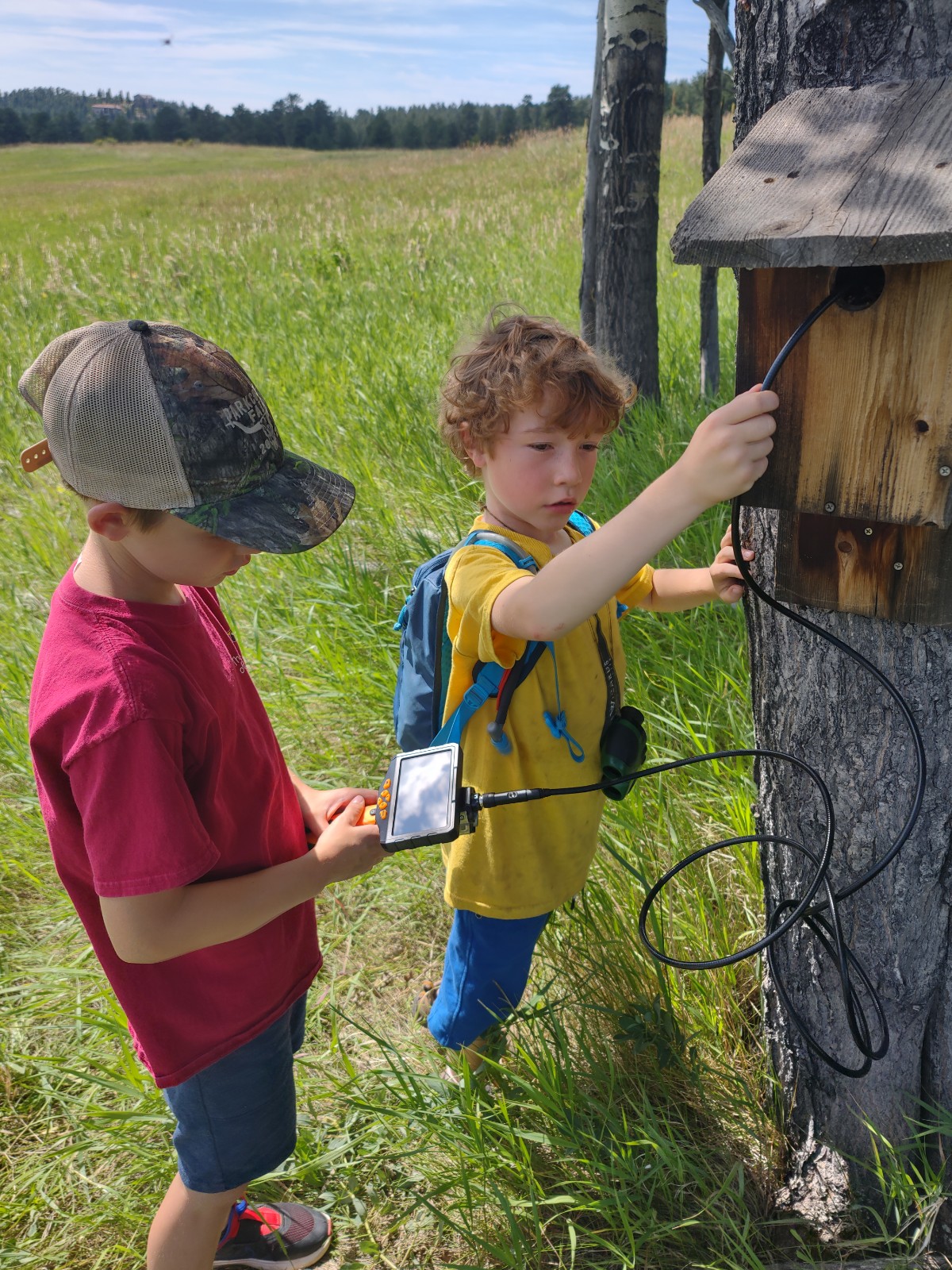 kids hiking on a trail